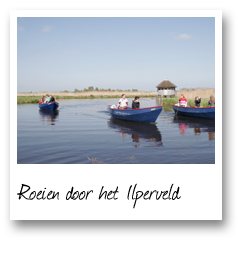 Roeien door het Ilperveld
