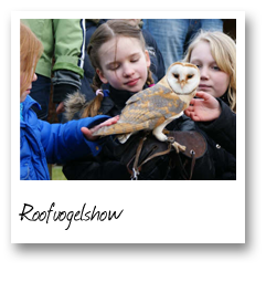 Roofvogelshow