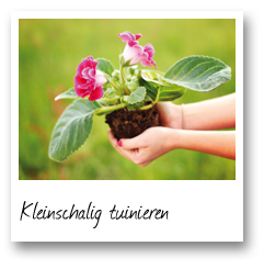 Kleinschalig tuinieren