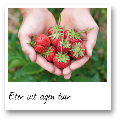 Eten uit eigen tuin