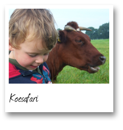 Koesafari