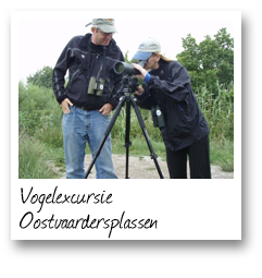 Vogelexcursie Oostvaardersplassen