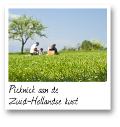 Picknick aan de Zuid-Hollandse kust