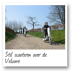 Stil scooteren over de Veluwe