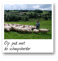 Op pad met de schaapsherder