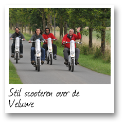Stil scooteren over de Veluwe