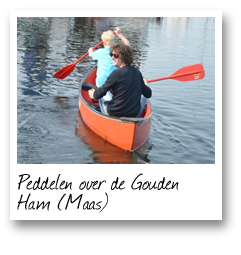 Peddelen over de Gouden Ham (Maas)