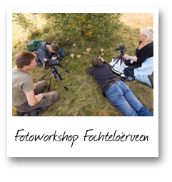 Fotoworkshop Fochteloerveen