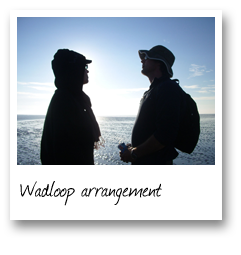 Wadloop arrangement