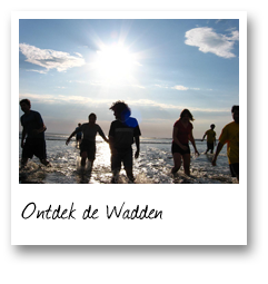 Ontdek de Wadden