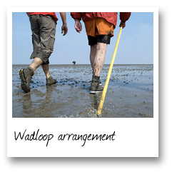 Wadloop arrangement