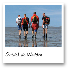 Ontdek de Wadden