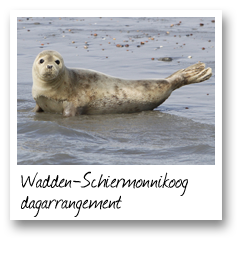 Wadden-Schiermonnikoog dagarrangement
