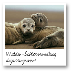 Wadden-Schiermonnikoog dagarrangement