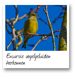 Excursie vogelgeluiden herkennen