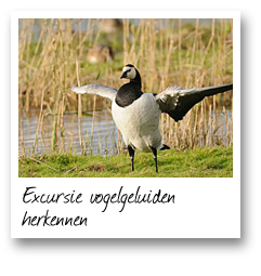 Excursie vogelgeluiden herkennen