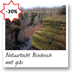 Natuurtocht Biesbosch met gids