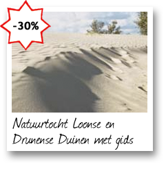 Natuurtocht Loonse en Drunense Duinen met gids