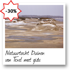 Natuurtocht Duinen van Texel met gids