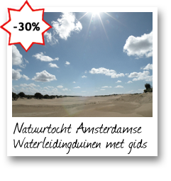Natuurtocht Amsterdamse Waterleidingduinen met gids