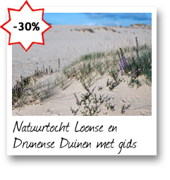 Natuurtocht Loonse en Drunense Duinen met gids