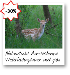 Natuurtocht Amsterdamse Waterleidingduinen met gids