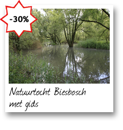 Natuurtocht Biesbosch met gids