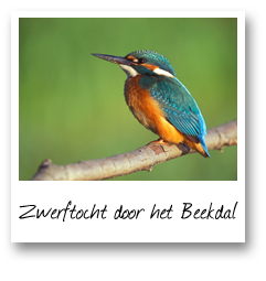 Zwerftocht door het Beekdal