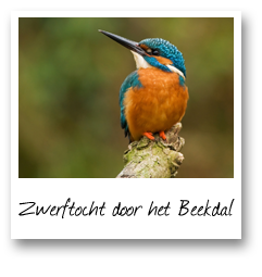 Zwerftocht door het Beekdal