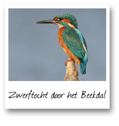 Zwerftocht door het Beekdal 