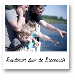 Rondvaart door de Biesbosch