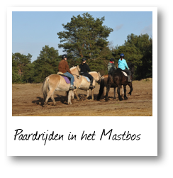 Paardrijden in het Mastbos