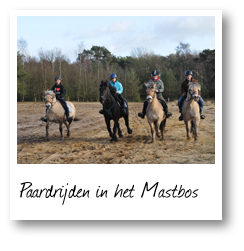 Paardrijden in het Mastbos