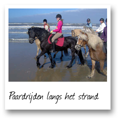 Paardrijden langs het strand