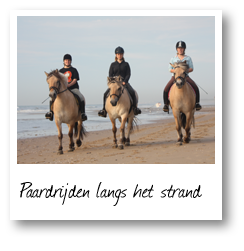 Paardrijden langs het strand