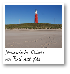 Natuurtocht Duinen van Texel met gids
