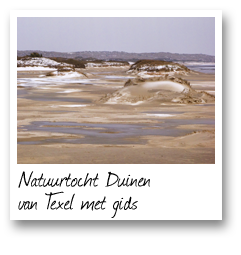 Natuurtocht Duinen van Texel met gids