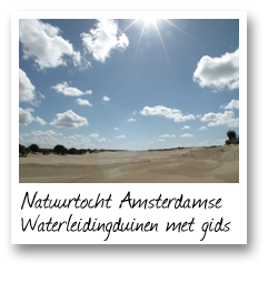 Natuurtocht Amsterdamse Waterleidingduinen met gids