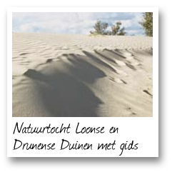 Natuurtocht Loonse en Drunense Duinen met gids