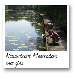 Natuurtocht Maasbodem met gids