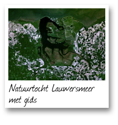 Natuurtocht Lauwersmeer met gids