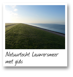Natuurtocht Lauwersmeer met gids