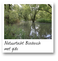 Natuurtocht Biesbosch met gids