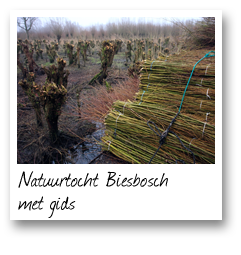Natuurtocht Biesbosch met gids