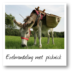 Ezelwandeling met picknick