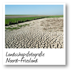Landschapsfotografie Noord-Friesland