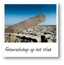 Workshop fotografie op het Wad