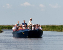 Rondvaart door het Ilperveld