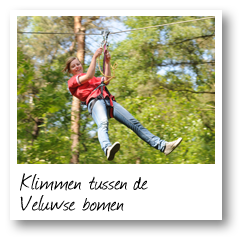 Klimmen tussen de Veluwse bomen