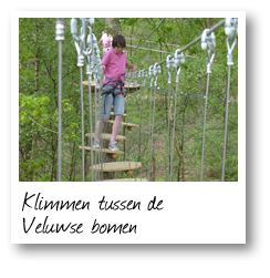 Klimmen tussen de Veluwse bomen